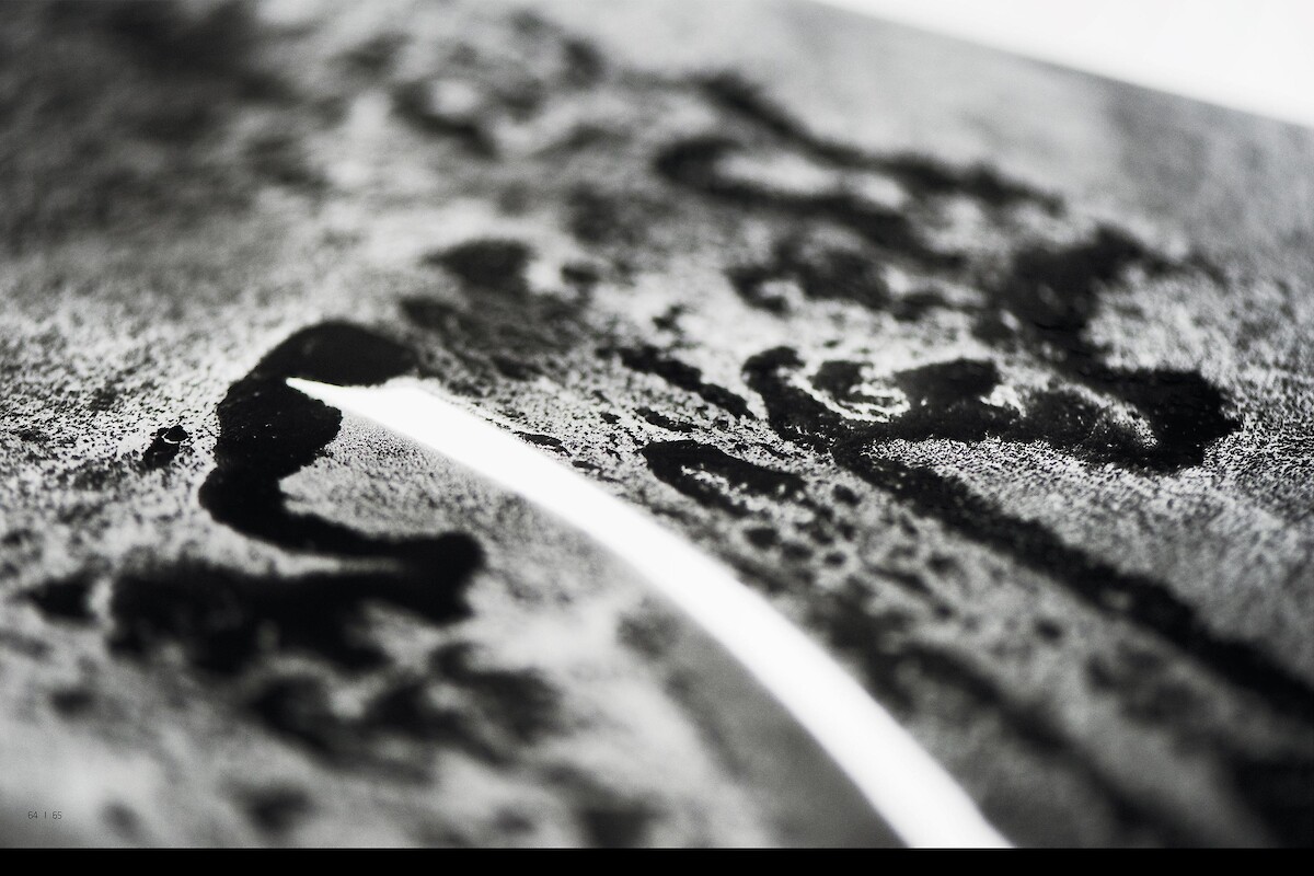CdZ_15 (Marius Schreyer &copy;&nbsp;Marius Schreyer)
