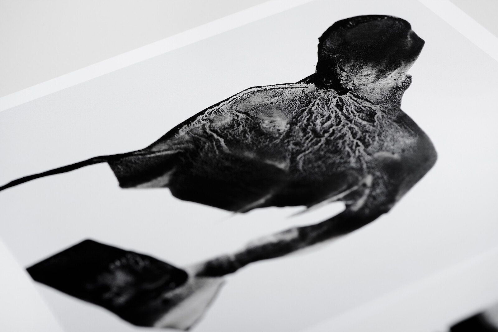  (Gerd Grimm &copy;&nbsp;Marius Schreyer Design)