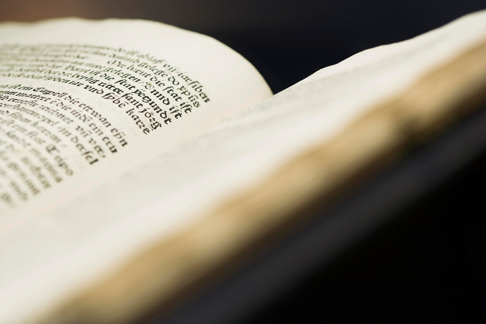  (Gerd Grimm &copy;&nbsp;Marius Schreyer Design)