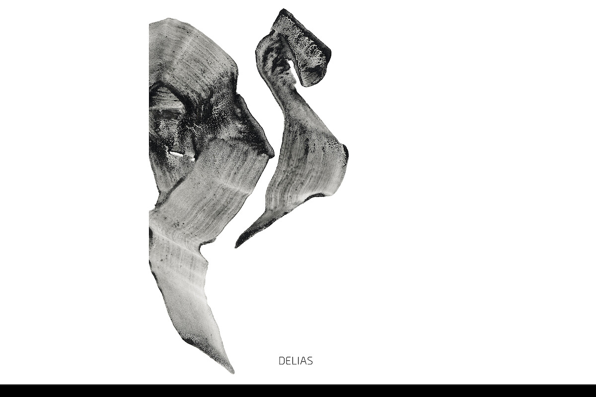 CdZ_24 (Marius Schreyer &copy;&nbsp;Marius Schreyer)